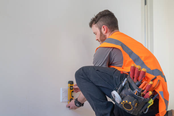 Best Ceiling Fan Installation Electrician  in Fountain Inn, SC